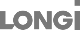 longi 